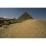 Site: Giza; View: Khufu causeway