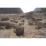 Site: Giza; View: G 2389, G 2391, G 2450, G 2451, G 2452