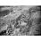 Site: Giza; View: G 4150, G 4160, G 4000