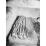Site: Giza; View: G 7000 X