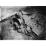 Site: Giza; View: G 7000 X