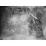 Site: Giza; View: G 7000 X