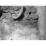 Site: Giza; View: G 7000 X