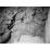 Site: Giza; View: G 7000 X