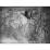 Site: Giza; View: G 7000 X