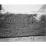 Site: Giza; View: G 7152