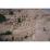 Site: Giza; View: G 2170