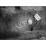 Site: Giza; View: G 2037