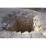 Site: Giza; View: G 2170