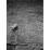Site: Giza; View: G 2150