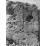 Site: Giza; View: G 2370