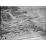 Site: Giza