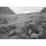 Site: Giza; View: G 2004