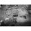 Site: Giza; View: G 2140, G 2150, G 2141, G 2142