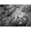 Site: Giza; View: G 2381, G 2382