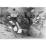 Site: Giza; View: G 2150