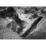 Site: Giza; View: G 2381
