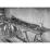 Site: Giza; View: Giza, Harvard Camp, G 2381