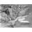 Site: Giza; View: G 2150