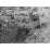 Site: Giza; View: G 2037, G 2025