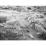 Site: Giza; View: G 2037