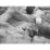 Site: Giza; View: G 2037