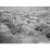 Site: Giza; View: G 2037