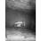 Site: Giza; View: G 2004