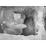 Site: Giza; View: G 2037