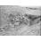 Site: Giza; View: G 2150