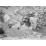 Site: Giza; View: G 2150