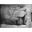 Site: Giza; View: G 2037