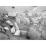 Site: Giza; View: G 2150