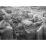 Site: Giza; View: G 2004