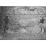 Site: Giza; View: G 6020