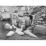 Site: Giza; View: G 2150