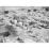 Site: Giza; View: G 2004