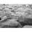 Site: Giza; View: G 2036, G 2037, G 2035