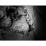 Site: Giza; View: G 4733