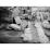 Site: Giza; View: G 2381