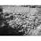 Site: Giza; View: G 2385, G 2370