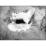 Site: Giza; View: G 2175
