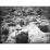 Site: Giza; View: G 2177, G 2175, G 2170, G 2231 X