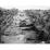 Site: Giza; View: G 4440, G 4540