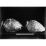 Site: Giza; view: G 4440