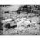 Site: Giza; View: G 4440