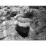 Site: Giza; View: G 2175
