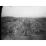 Site: Giza; View: G 4720, G 4820, G 4722, G 4724, G 4725, G 4733