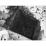 Site: Giza; View: G 4832