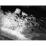 Site: Giza; View: G 4733
